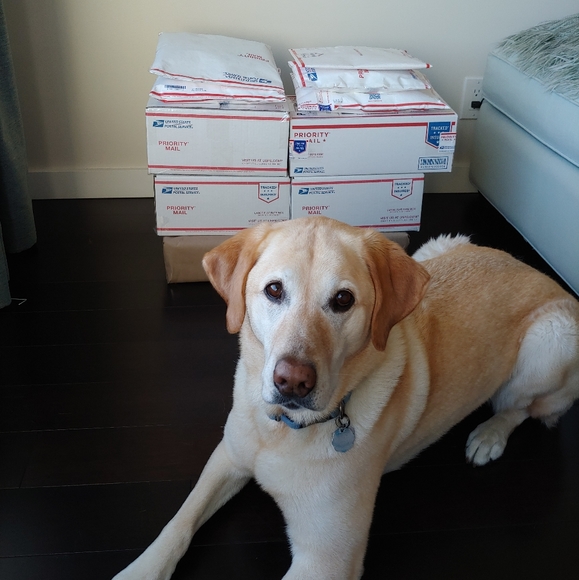 About The_Poshers - Picture 6 of 6